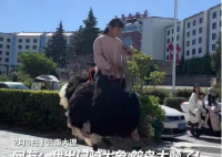 云南小女孩骑鸵鸟上学从容淡定 画面曝光简直太霸气了