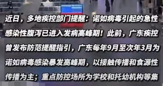 广东诺如病毒进入高发期  诺如病毒是一组杯状病毒科的病毒