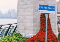杭州地铁口惊现玫瑰瀑布 不愧是爱情之城