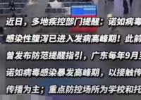 广东诺如病毒进入高发期  诺如病毒是一组杯状病毒科的病毒