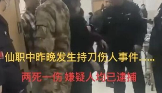 中专生被殴打致2死:社会人员翻入校 到底是谁的责任