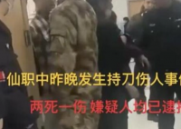 中专生被殴打致2死:社会人员翻入校 到底是谁的责任
