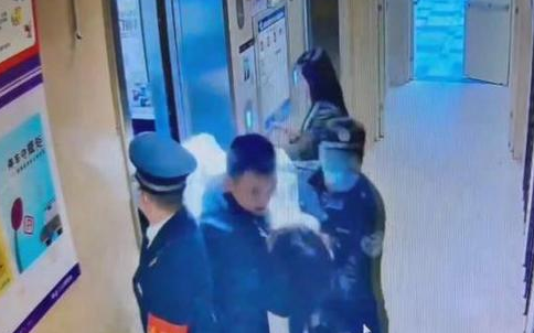 女子因宠物猫去世欲轻生 这就让人匪夷所思了