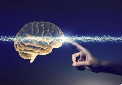 科学家在大脑中培育出电极  将电子设备和生物组织联系起来并不简单