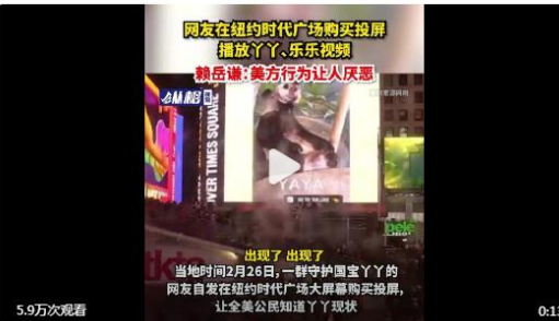 丫丫现身纽约时代广场大屏幕   网友自发在纽约时代广场大屏幕购买投屏