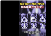 程序员20年喝近2吨可乐屡患结石 到底怎么回事