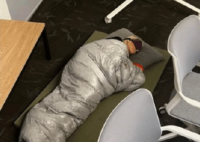 睡公司的推特女总监被炒 克劳福德告诉推特员工，大规模裁员是公司生存下去的“必要条件”