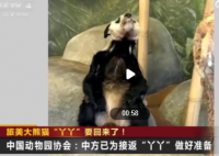 大熊猫丫丫身体状况评估完毕 基本良好 不久将会回国