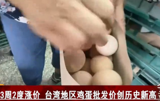 台湾有观光点1人限购2颗茶叶蛋  夜市老字号蚵仔煎无蛋可加