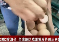 台湾有观光点1人限购2颗茶叶蛋  夜市老字号蚵仔煎无蛋可加