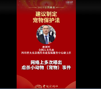 代表建议虐待宠物严重者可入刑 这个值得传播
