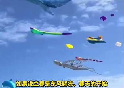 海洋风筝爆火 网友:春天的信号  将把天空装扮成了童话般的海洋