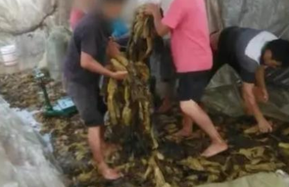 那些曾被315点过名的品牌怎么样了  各种侵害消费者的行为曝光
