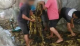 那些曾被315点过名的品牌怎么样了  各种侵害消费者的行为曝光