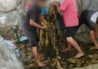 那些曾被315点过名的品牌怎么样了  各种侵害消费者的行为曝光