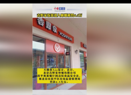 吉野家吃出蟑螂后执法检查又发现43只 不卫生的餐饮店还有多少？