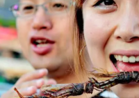 女子睡觉时被10厘米蜈蚣咬太阳穴 这会中毒吗？