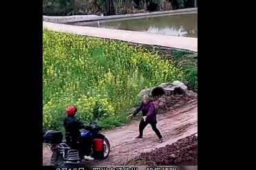 老太阻拦偷狗贼被推入菜地   一定要将偷狗的男子绳之以法