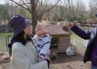 李亚鹏:我不是王子所以没有王妃 晒出一家三口，看起来十分幸福
