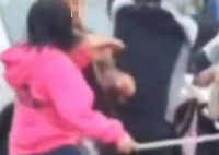 女子当街棒打老公和女主播 男子护着女主播时，头部被打流血