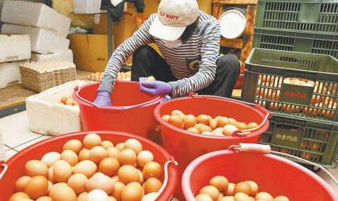高雄80家早餐店准备停售蛋类食品 蛋商及蛋农联合哄抬价格