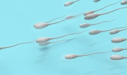全球男性精子量告急 缺乏运动导致的身体肥胖与不育密切相关