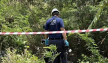在泰杀害女留学生3嫌犯湖北襄阳落网 其遇害已有3天左右