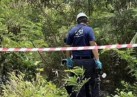 在泰杀害女留学生3嫌犯湖北襄阳落网 其遇害已有3天左右