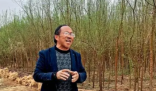 孙国友承包万亩沙地20年栽种600多亩 孙国友已经和双马煤矿“缠斗”了十多年