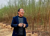 孙国友承包万亩沙地20年栽种600多亩 孙国友已经和双马煤矿“缠斗”了十多年