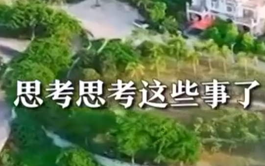 白岩松评农村房前屋后禁种蔬菜 引发网友关注讨论