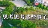 白岩松评农村房前屋后禁种蔬菜 引发网友关注讨论