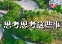 白岩松评农村房前屋后禁种蔬菜 引发网友关注讨论
