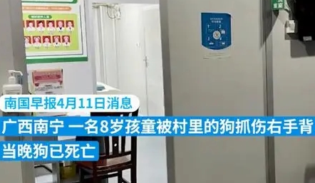 男孩被狗抓伤患狂犬病20天后死亡 控制狂犬病，我们能做些什么?