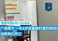 男孩被狗抓伤患狂犬病20天后死亡 控制狂犬病，我们能做些什么?
