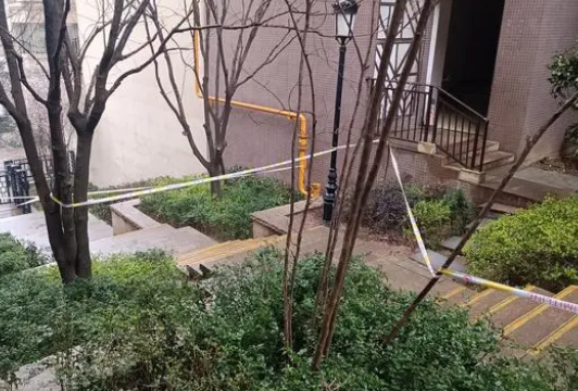 男孩扔木块砸死老人 父母:无钱赔偿 悲剧原因简直令人痛心