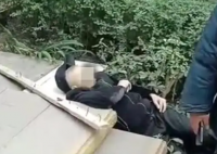 男孩扔木块砸死老人 父母:无钱赔偿称自己没有责任小孩智力有问题