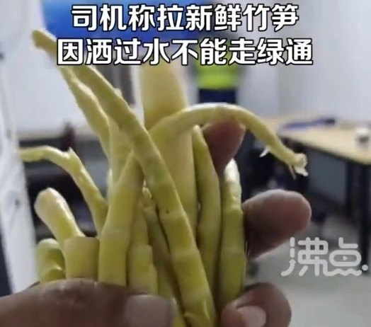 司机拉竹笋过绿通因不新鲜被拒 晒干的要收费很不合理
