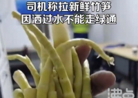 司机拉竹笋过绿通因不新鲜被拒 晒干的要收费很不合理