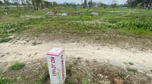 成都回应多处“拆绿还耕” 多地也在推动“复耕复产”工作