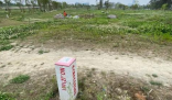 成都回应多处“拆绿还耕” 多地也在推动“复耕复产”工作