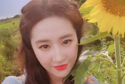 刘亦菲曾被韩国女生霸凌 施暴者总能找到各种理由