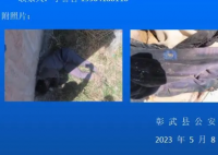 辽宁一养猪场外墙发现无名女尸 尸体部分腐败