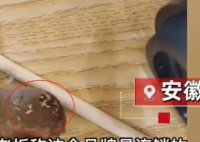 顾客买肉饼咬下去发现全是活蛆 这种令人作呕的事情时有发生