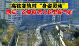 这高铁怎么蛇里蛇气的 到底怎么回事