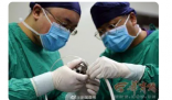 全国首例心脏不停跳人工心脏植入 全国拥有该手术资质的医院并不多