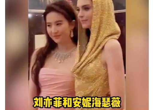 刘亦菲和安妮海瑟薇合影 两位女神的合影真的太美了
