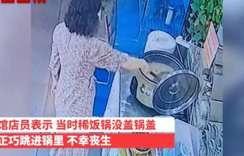 鱼缸里的鱼一跃跳进一锅粥里 这也太奋不顾身了