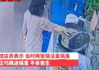鱼缸里的鱼一跃跳进一锅粥里 这也太奋不顾身了