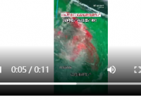 济南巨无霸锦鲤顺利产卵30万颗 网友：愿望清单又要加长长长了!